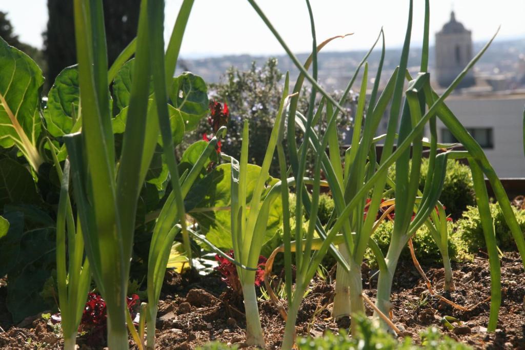 Villa Montjuic Girona Bagian luar foto